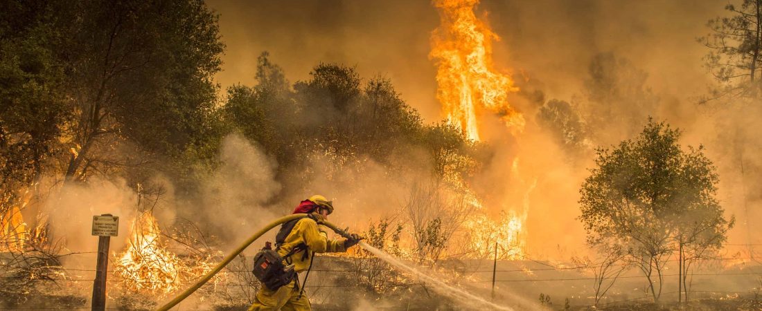 (Hector Amezcua/The Sacramento Bee via AP)