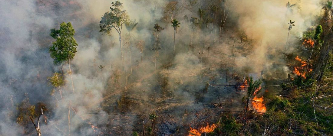 Brasil: en el mes de Octubre aumentaron los incendios en la selva amazónica