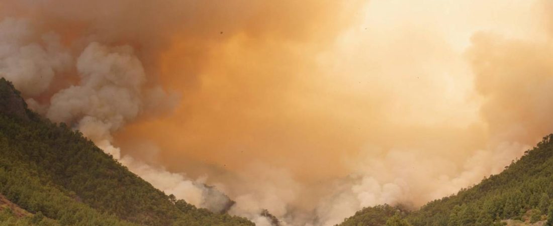 incendios-en-tenerife-1