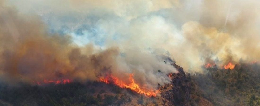 incendios-forestales-en-parque-nacional-los-alerces-2