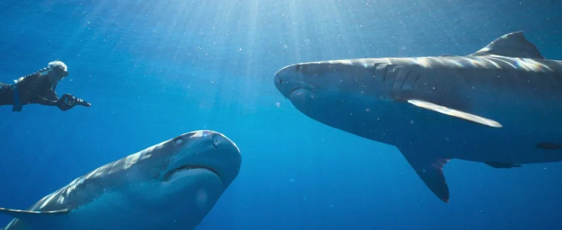 j_20260324_094548000