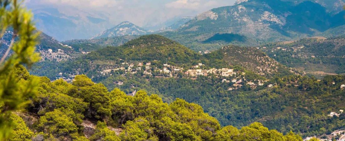 francia ley para preservar los sonidos y olores del campo