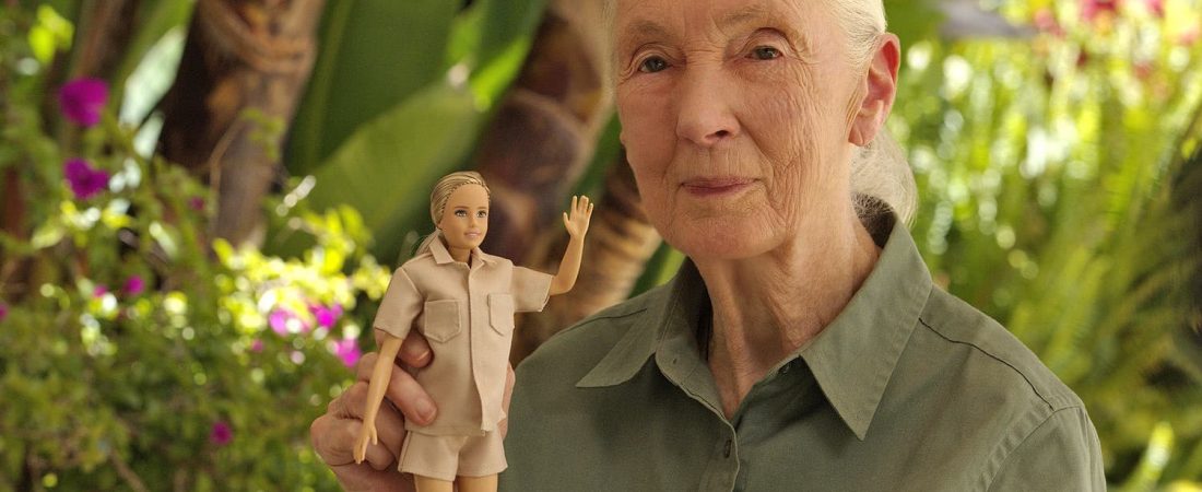 Jane Goodall Gets Her Own Barbie;

Credit: Courtesy of the Jane Goodall Institute;

https://app.asana.com/0/1202556224425358/1202583992409132/f