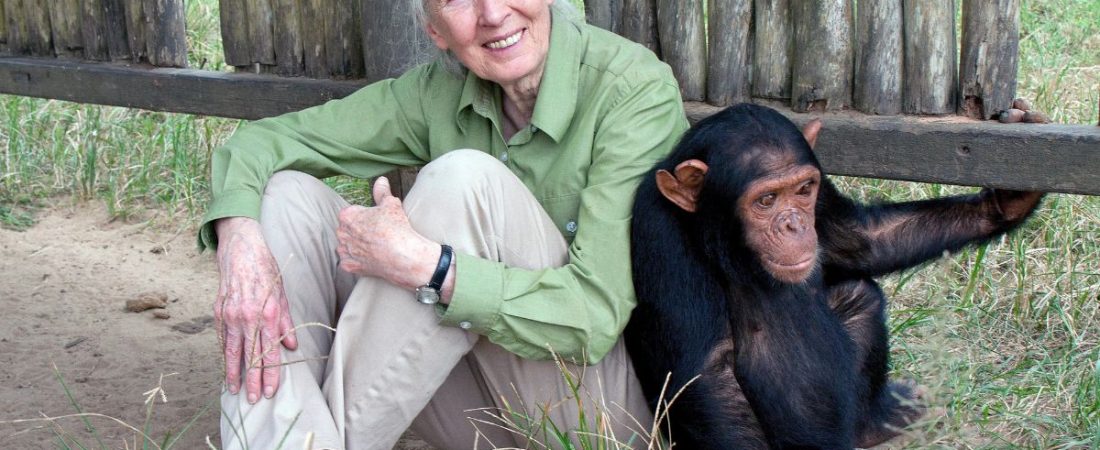 jane_Goodall_01102025