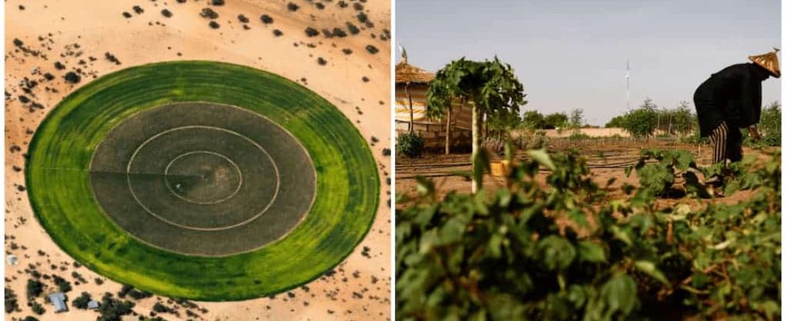 jardines circulares en el desierto del Sahara