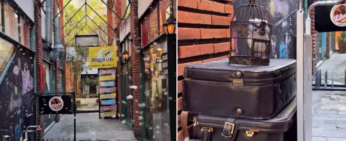 la-galeria-de-caballito-sera-intervenida-con-musica-tematica-nieve-y-decoracion-navidena-inspirada-en-harry-potter-capturas-instagramcomlibriastore-NDK2LJWGAZDQVIQHKXYVP6MAGY