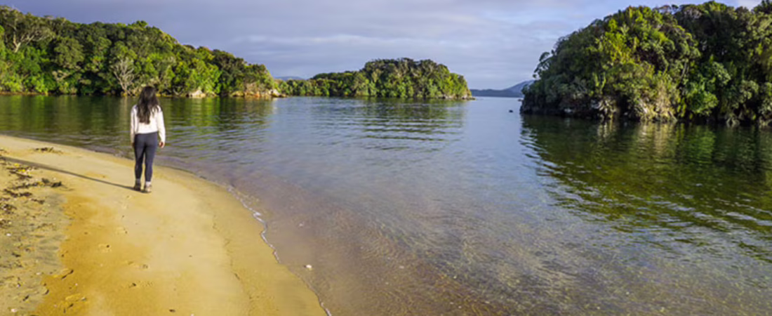 la-isla-de-ulva-en-nueva-zelanda-se-destaca-por-sus-paisajes-naturales-y-sus-playas-foto-seethesouthislandcom-YXMBJVGA2ZDW5HCIMENXRSNK2U