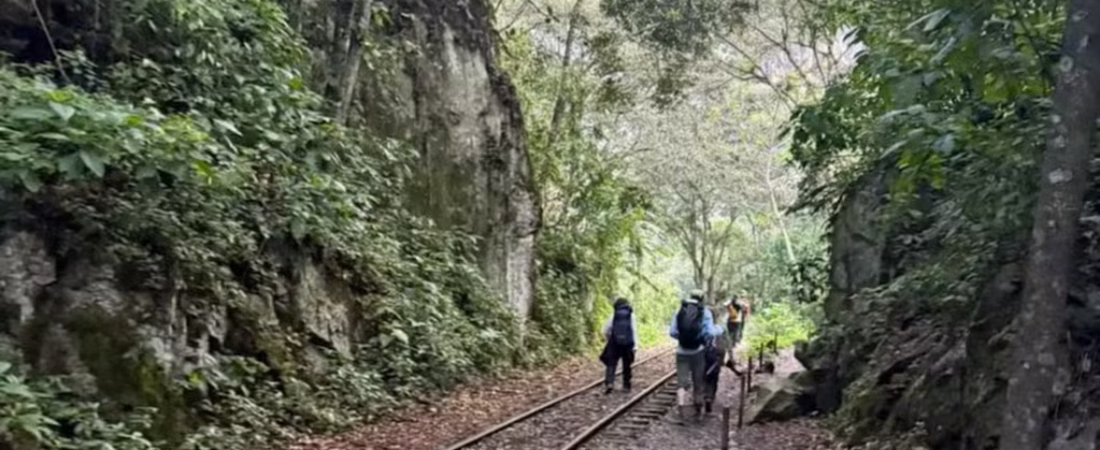 la-pareja-brasilena-tuvo-que-caminar-durante-horas-para-volver-por-una-protesta-foto-gentileza-g1-SEYG4HOQ7ZFMBNRFAWCAWVQQM4