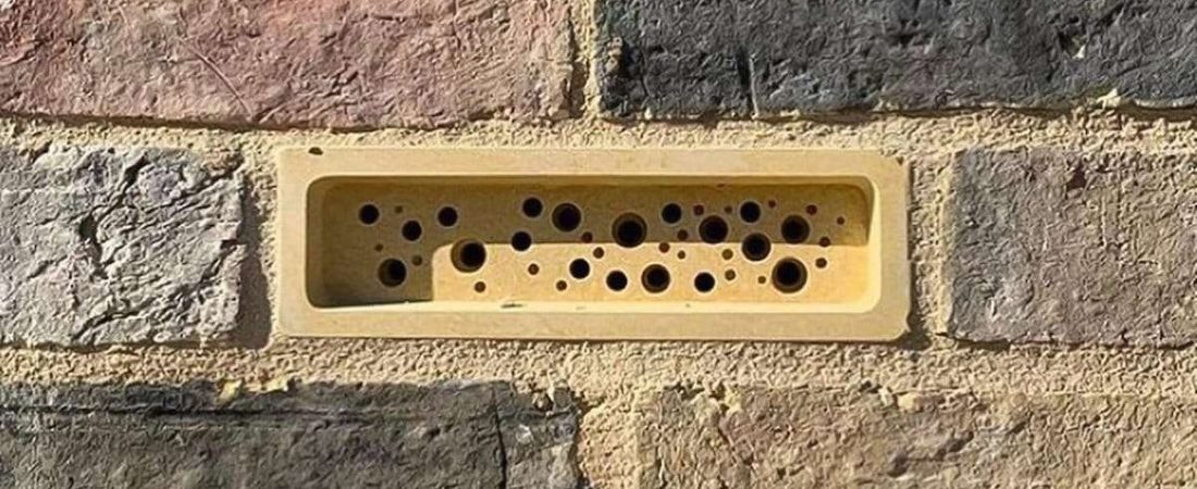 ladrillo_abeja_solitaria_edificio_construccion_brighton_hove_ciudad_4-3de