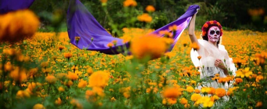 leyenda-flor-de-cempasuchil