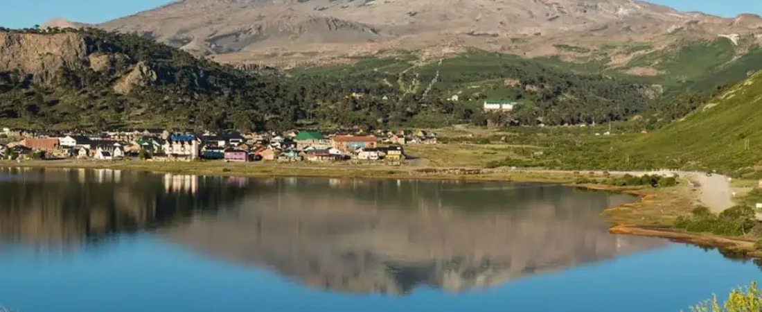 lg (4)