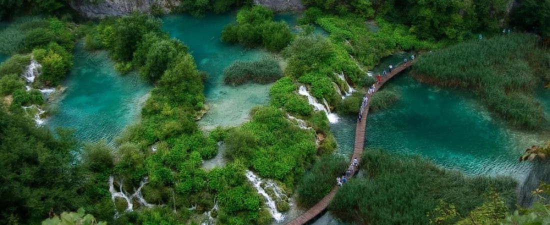 Los Bosques Más Bonitos de Europa