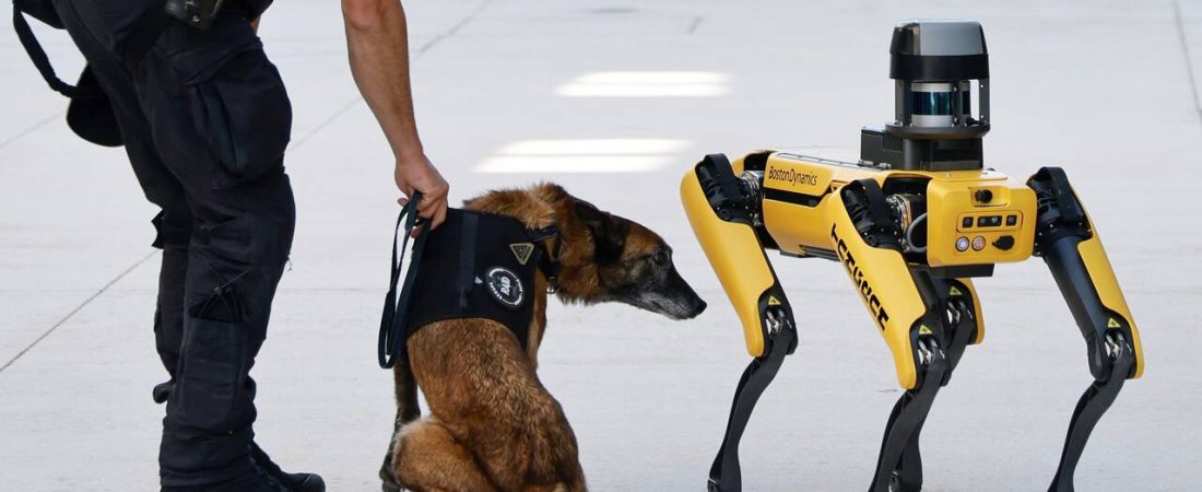 los-robots-que-vendran-a-los-estudios-de-la-JL3TQJOVXZGKVD3GOPN4YS3PRM