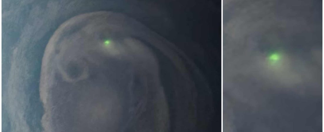 luz verde en jupiter