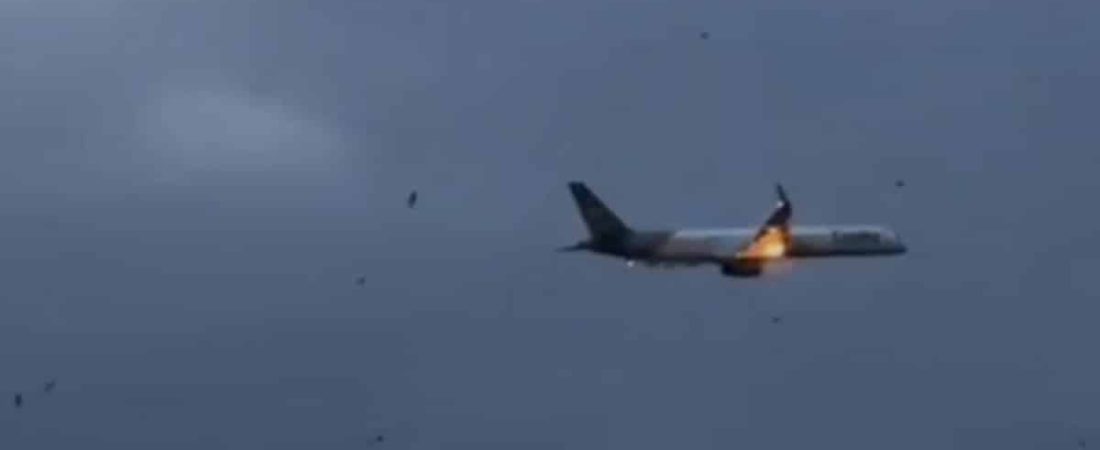 m-FPR90nk_1200x630__1