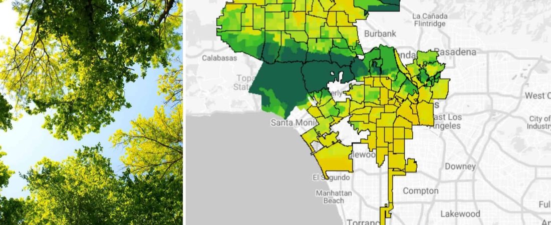 Google está probando una nueva herramienta que permite ver el espacio cubierto de árboles que tienen las ciudades