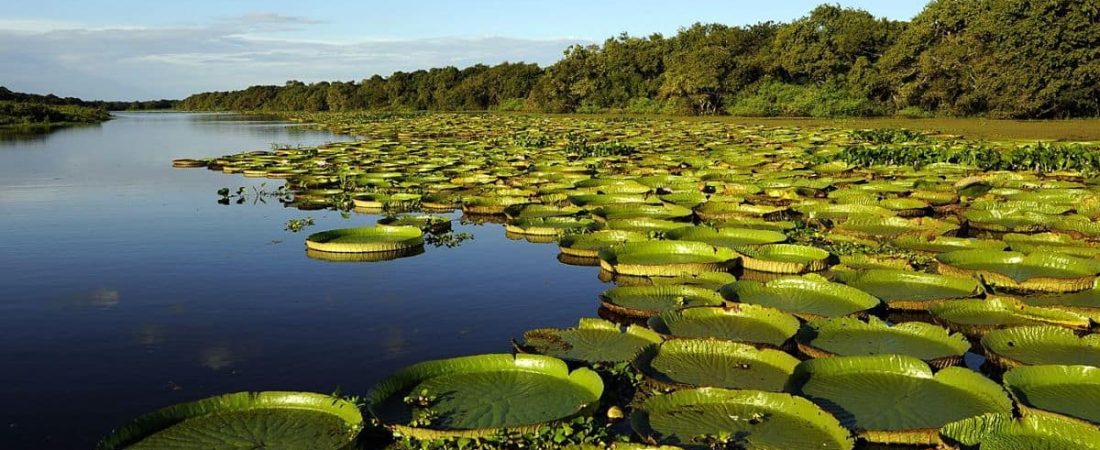 mar argentina