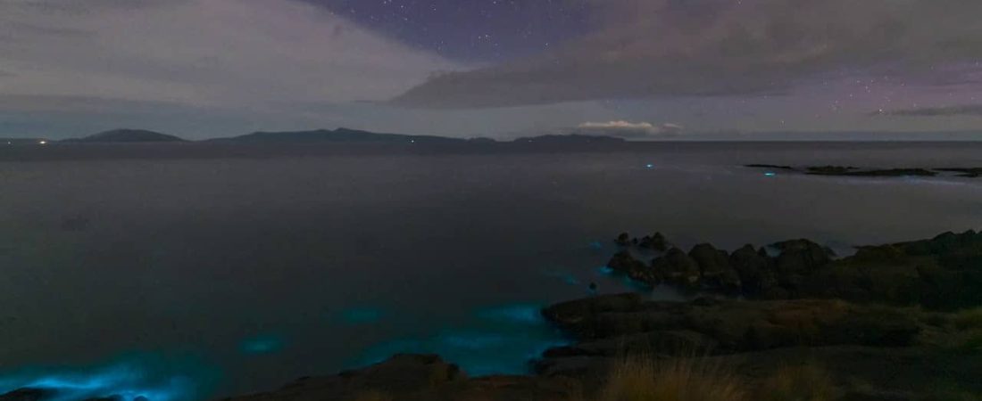 Stunning Timelapse Shows Bioluminescent Waves Along Coast || Dogtooth Media