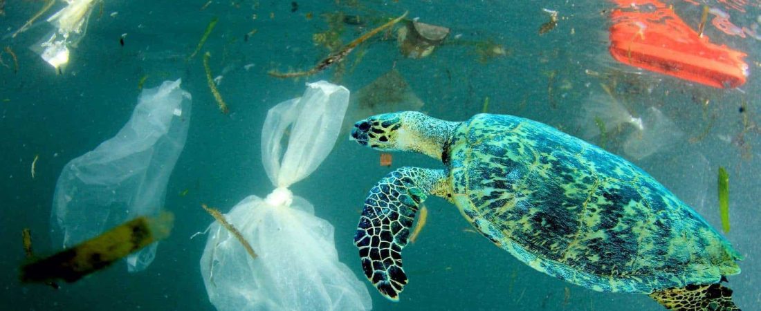 Nuevo estudio estima que hay más de 14 millones de toneladas de microplásticos en el fondo de los océanos