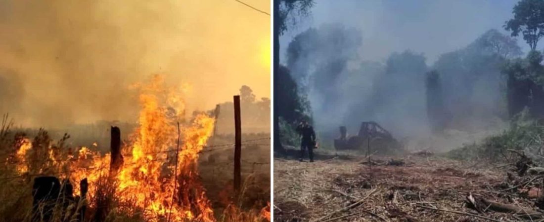 Lograron controlar los incendios de la provincia de Misiones, donde se quemaron alrededor de 100 hectáreas en la Reserva de Biósfera Yabotí