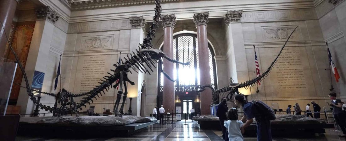 El Museo Americano de Historia Natural se prepara para Halloween con eventos online