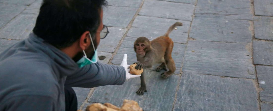 nepal