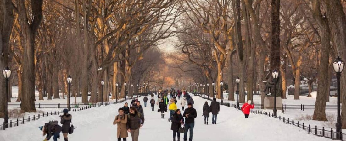 Nueva York en Enero / New York in January