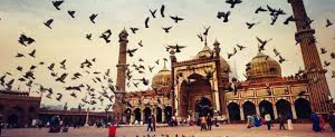 old-delhi