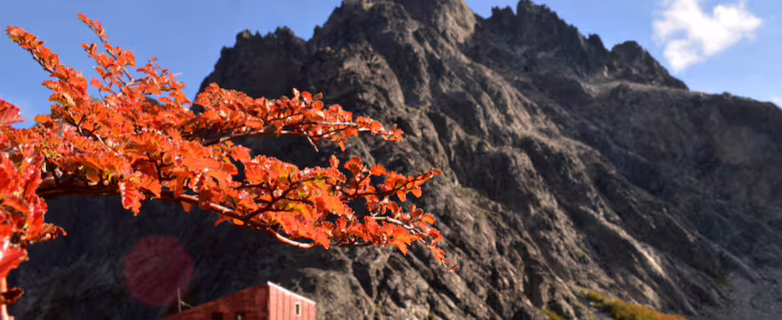 otono-en-el-refugio-italia-en-laguna-D6PD5AADKFC2JAHPT3TRVAXOSM