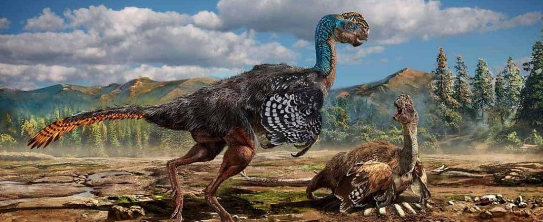 oviraptorosaurio-nido