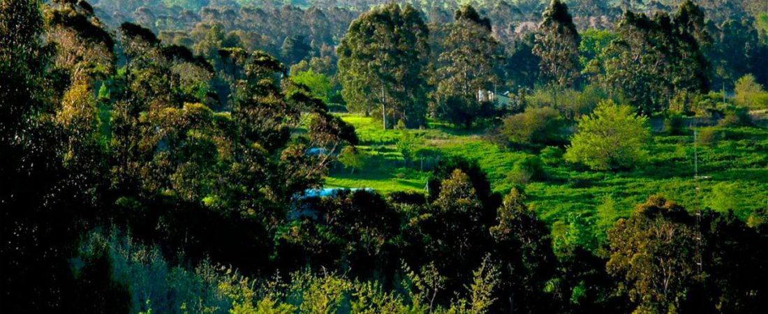 paisaje-serrano-de-las-sierras-de-los-padres