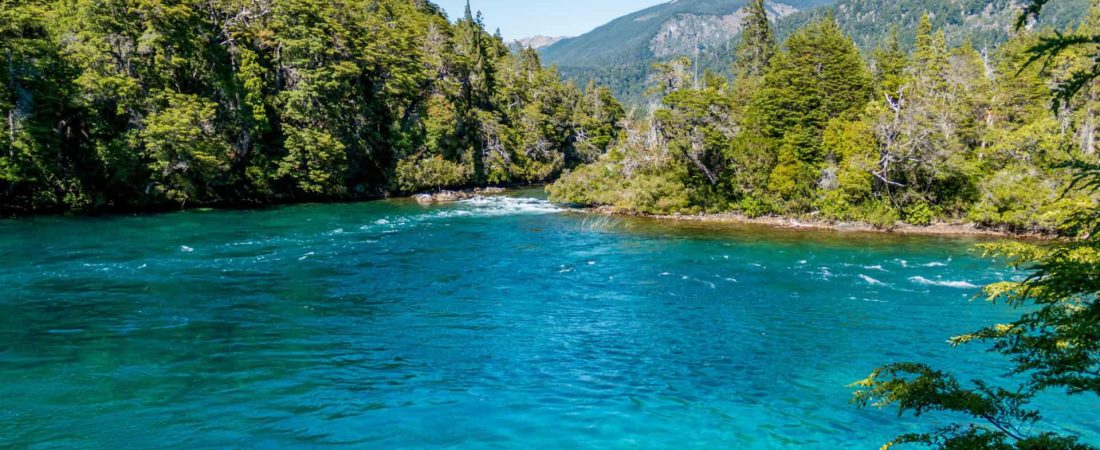 parque nacional los alerces