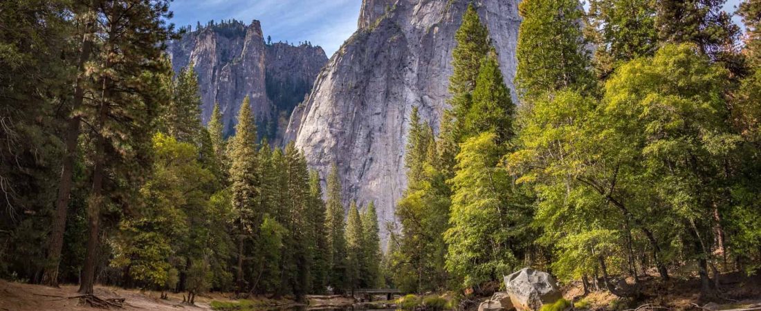 Un nuevo estudio demuestra que los sonidos de la naturaleza ayudan a aliviar el dolor