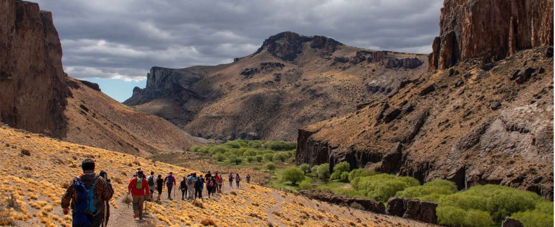 parque-patagonia-argentina-Rewilding-Argentina