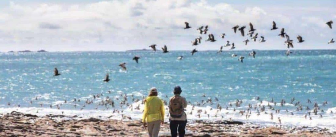 patagonia-azul-ruta-7-1-1024x576