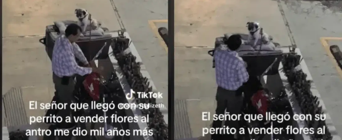 perrito_vendedor.png_911186587