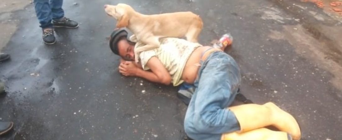 perro-cuida-dueno-borracho-duerme-calle-colombia