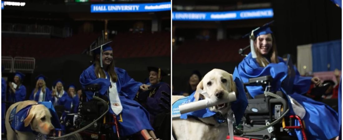 perro recibe diploma (1)