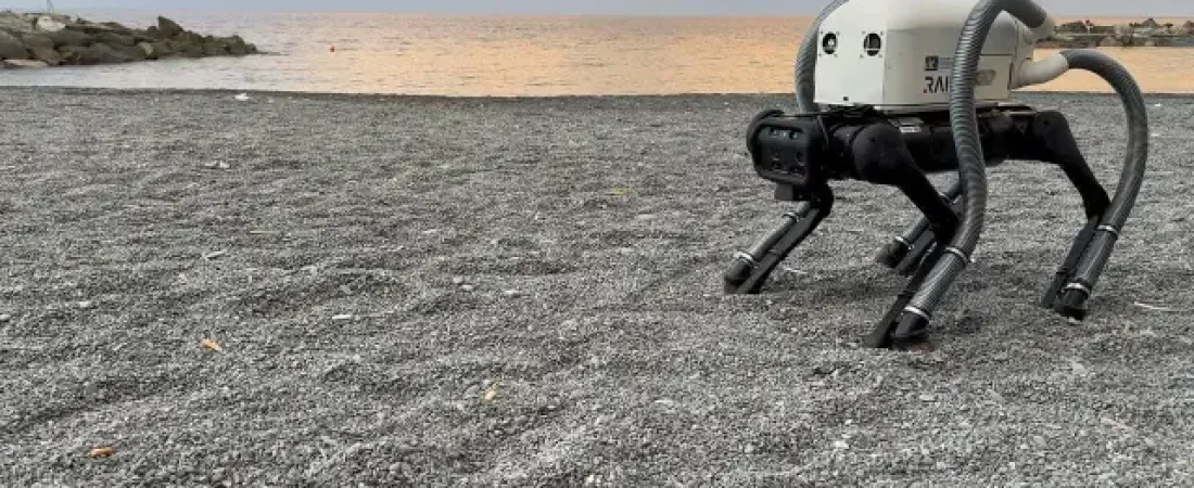 perro-robot-vero.r_d.1149-228-5000