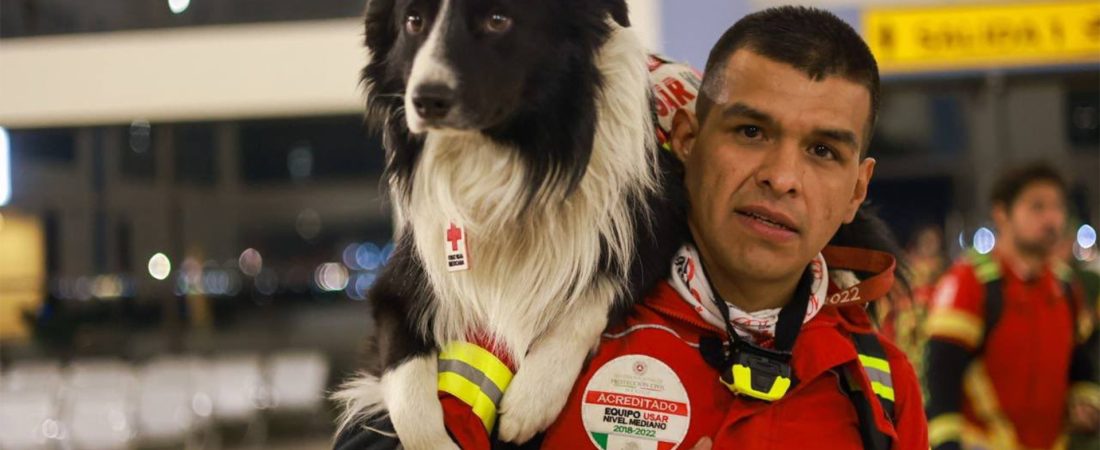 perros de rescate con de México en Turquía