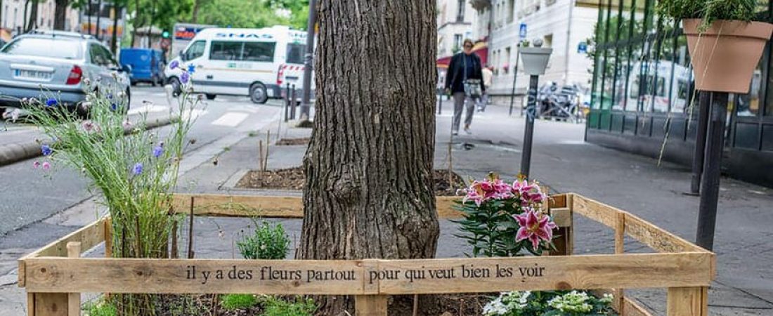 plant-urban-gardens-anyone-law-paris-5ajpg