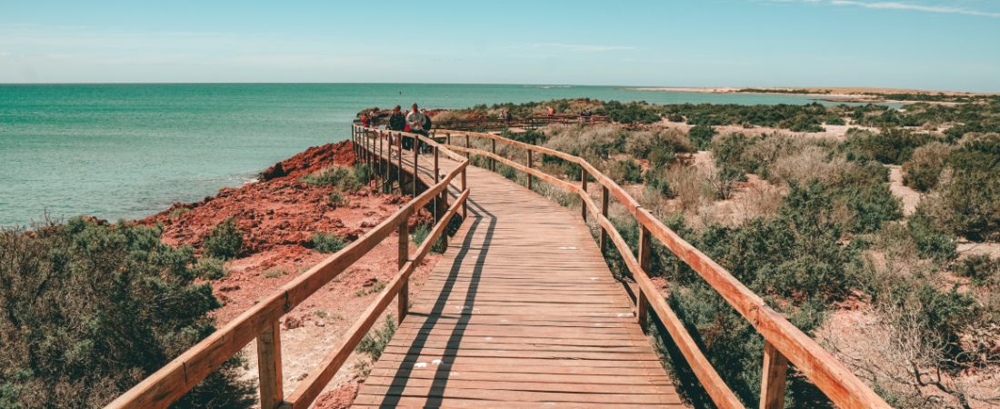 puerto-madryn-turismo-septiembre-fauna-1