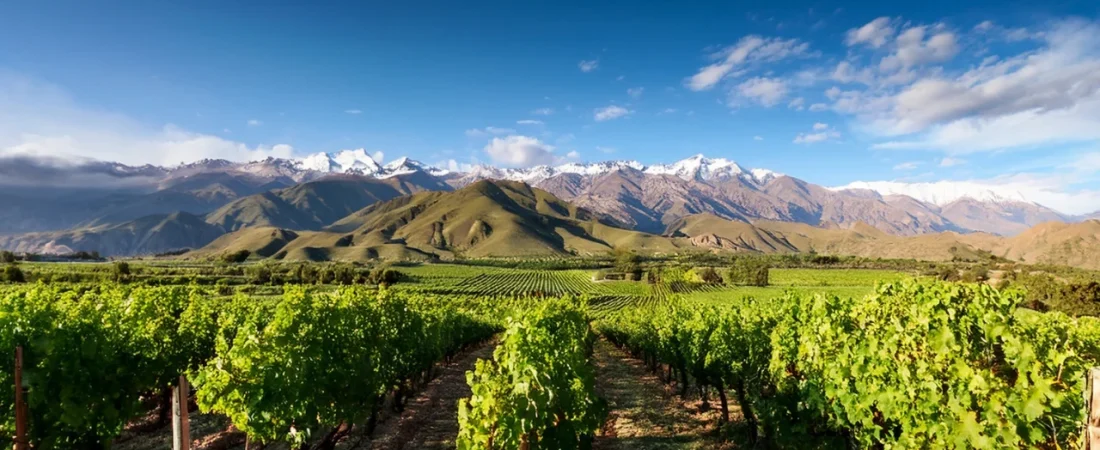 ranking-global-de-turismo-argentina-escala-posiciones-y-ya-supera-a-sus-principales-competidores-en-sudamerica-1778512915875_1280