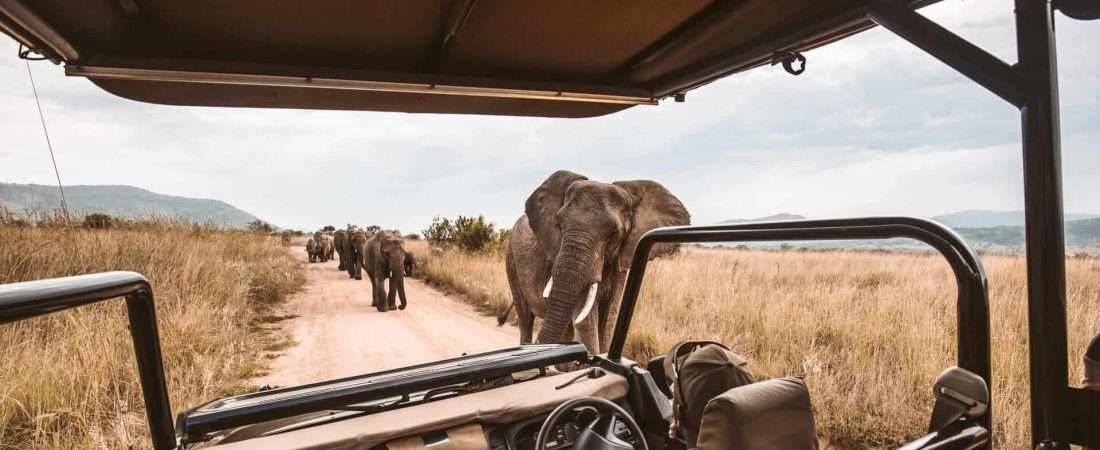 10 mejores safaris de Africa