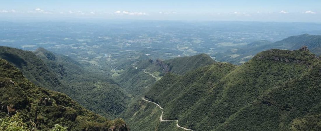 reforestación-sudamérica-proyecto-brasil