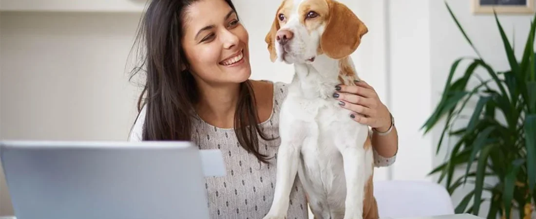 reforma-laboral-permitiria-llevar-mascotas-de-apoyo-emocional-al-trabajo