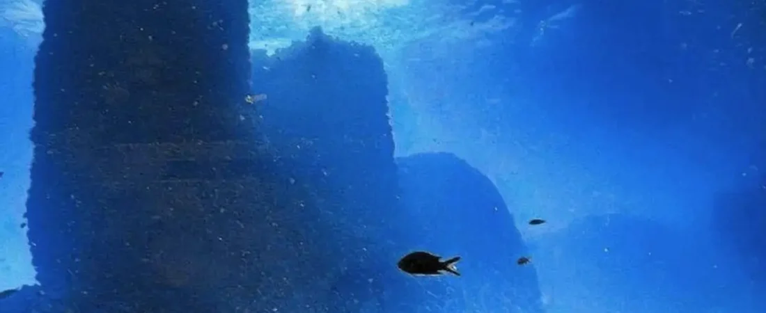 restos-del-puerto-sumergido-descubierto-cerca-de-taposiris-magna-egipto_ca4202b4_250921112225_1280x919