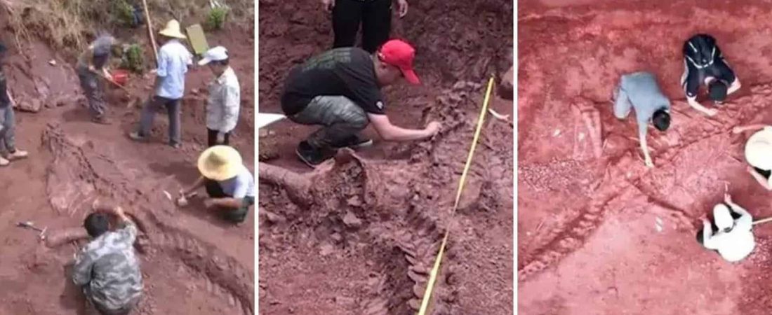 En China encontraron restos fósiles de un dinosaurio y se encuentran prácticamente intactos