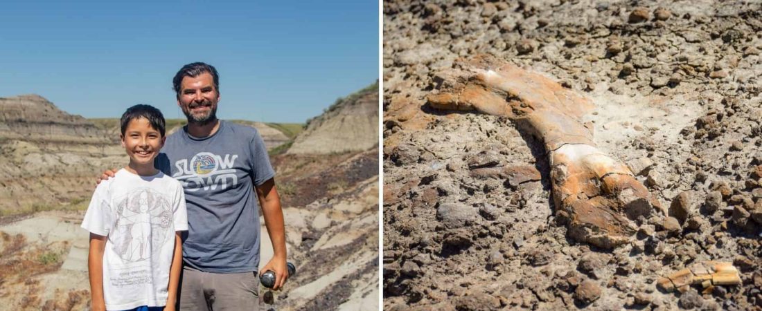 Canadá: un niño de 12 años encontró restos fósiles de dinosaurio