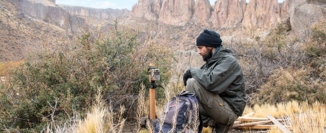 rewilding-en-argentina-quiénes-son